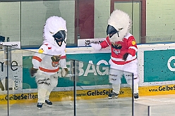 Karneval ONI CE 2025-01-24 60  Karneval ON ICE mit Prinzenwiegen - Das Prinzenwiegen der kleinen wie großen Tollitäten war neu im Programm der dritten Auflage von „Karneval ON ICE“ in der PreZero Rheinlandhalle . Dazu Eislaufen bei karnevalistischem Tönen. Dann wurde  auch noch Eishockey gespielt, Team Karneval gegen Team Rathaus, mit dem Sieg in diesem Jahr für das Team Rathaus. : DVPJ, Prinz, Prinzessin, Pagen, HDK, Duisburg, Karneval, Helau, Tollität, Event, Session 2024, Session 2025, Holger II, Phil II., Mia I., Hauptausschuss, Gemeinschaft, Hauptausschuss Karneval Duisburg, Duisburg ist echt