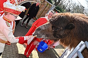 01 ZooDuisburg 2025-02-25 02  Zoo und WDR - Der Besuch vom Duisburger Zoo ist für uns schon ein muss. Seit Jahren ziert schon ein Zootier den Kinderprinzen-Pin, wie auch den Orden. In diesem Jahr ist es ja der Seehund. Es gab aber noch Koala und Delphin zu sehen. Und danach besuchten wir den WDR in Duisburg in der Lokalzeit Redaktion und dem Studio im Innenhafen. : DVPJ, Holger II, Kinderprinz Phil II., Prinzessin, Mia I., Prinzessin Mia I., HDK, Duisburg, Karneval, Helau, Tollität, Event, Session 2024, Session 2025, Hauptausschuss, Gemeinschaft, Hauptausschuss Karneval Duisburg, Duisburg ist echt