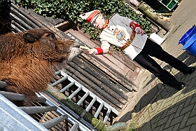 01 ZooDuisburg 2025-02-25 03  Zoo und WDR - Der Besuch vom Duisburger Zoo ist für uns schon ein muss. Seit Jahren ziert schon ein Zootier den Kinderprinzen-Pin, wie auch den Orden. In diesem Jahr ist es ja der Seehund. Es gab aber noch Koala und Delphin zu sehen. Und danach besuchten wir den WDR in Duisburg in der Lokalzeit Redaktion und dem Studio im Innenhafen. : DVPJ, Holger II, Kinderprinz Phil II., Prinzessin, Mia I., Prinzessin Mia I., HDK, Duisburg, Karneval, Helau, Tollität, Event, Session 2024, Session 2025, Hauptausschuss, Gemeinschaft, Hauptausschuss Karneval Duisburg, Duisburg ist echt