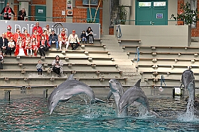 01 ZooDuisburg 2025-02-25 18  Zoo und WDR - Der Besuch vom Duisburger Zoo ist für uns schon ein muss. Seit Jahren ziert schon ein Zootier den Kinderprinzen-Pin, wie auch den Orden. In diesem Jahr ist es ja der Seehund. Es gab aber noch Koala und Delphin zu sehen. Und danach besuchten wir den WDR in Duisburg in der Lokalzeit Redaktion und dem Studio im Innenhafen. : DVPJ, Holger II, Kinderprinz Phil II., Prinzessin, Mia I., Prinzessin Mia I., HDK, Duisburg, Karneval, Helau, Tollität, Event, Session 2024, Session 2025, Hauptausschuss, Gemeinschaft, Hauptausschuss Karneval Duisburg, Duisburg ist echt