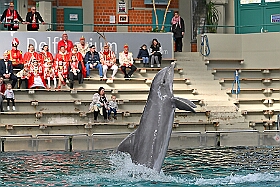 01 ZooDuisburg 2025-02-25 22  Zoo und WDR - Der Besuch vom Duisburger Zoo ist für uns schon ein muss. Seit Jahren ziert schon ein Zootier den Kinderprinzen-Pin, wie auch den Orden. In diesem Jahr ist es ja der Seehund. Es gab aber noch Koala und Delphin zu sehen. Und danach besuchten wir den WDR in Duisburg in der Lokalzeit Redaktion und dem Studio im Innenhafen. : DVPJ, Holger II, Kinderprinz Phil II., Prinzessin, Mia I., Prinzessin Mia I., HDK, Duisburg, Karneval, Helau, Tollität, Event, Session 2024, Session 2025, Hauptausschuss, Gemeinschaft, Hauptausschuss Karneval Duisburg, Duisburg ist echt