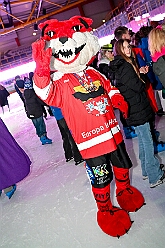 01 KarnevalOnIce 2026-02-06 21  alleato Arena und Ordensessen - Am späten Freitagnachmittag hieß es zum 4. Mal „Karneval on Ice“ . Nach der Premiere 2023 ist diese Veranstaltung weiterhin beliebt.  Das (Spaß)Eishockeyspiel der Teams Karneval vs. Stadt Duisburg endete 10:10. Nach diesem Besuch waren noch bei der Ehrengarde, diese hat den „Großen Orden“ an Joachim Loosen verliehen. : DVPJ, Toni I, Kinderprinz Juls I., Juls I., Prinzessin, Aileen I., Prinzessin Aileen I., HDK, Duisburg, Karneval, Helau, Tollität, Event, Session 2025, Session 2026, Hauptausschuss, Gemeinschaft, Hauptausschuss Karneval Duisburg, Duisburg ist echt