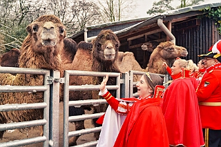 Zoo Duisburg 2026-01-29 07  Im Duisburger ZOO - Der Zoobesuch ist eine schöne Tradition für die amtierenden Tollität der Stadt, schließlich ziert ja auch ein Tier unseren Orden. Diesmal  besuchten wir Kamel, Koala, Delphin und Co. : DVPJ, Holger II, Kinderprinz Phil II., Prinzessin, Mia I., Prinzessin Mia I., HDK, Duisburg, Karneval, Helau, Tollität, Event, Session 2024, Session 2025, Hauptausschuss, Gemeinschaft, Hauptausschuss Karneval Duisburg, Duisburg ist echt