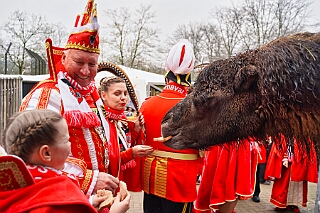 Zoo Duisburg 2026-01-29 10  Im Duisburger ZOO - Der Zoobesuch ist eine schöne Tradition für die amtierenden Tollität der Stadt, schließlich ziert ja auch ein Tier unseren Orden. Diesmal  besuchten wir Kamel, Koala, Delphin und Co. : DVPJ, Holger II, Kinderprinz Phil II., Prinzessin, Mia I., Prinzessin Mia I., HDK, Duisburg, Karneval, Helau, Tollität, Event, Session 2024, Session 2025, Hauptausschuss, Gemeinschaft, Hauptausschuss Karneval Duisburg, Duisburg ist echt