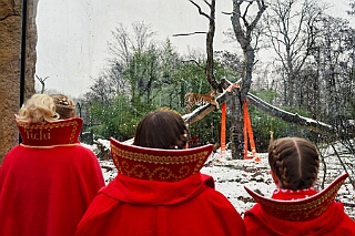 Zoo Duisburg 2026-01-29 12  Im Duisburger ZOO - Der Zoobesuch ist eine schöne Tradition für die amtierenden Tollität der Stadt, schließlich ziert ja auch ein Tier unseren Orden. Diesmal  besuchten wir Kamel, Koala, Delphin und Co. : DVPJ, Holger II, Kinderprinz Phil II., Prinzessin, Mia I., Prinzessin Mia I., HDK, Duisburg, Karneval, Helau, Tollität, Event, Session 2024, Session 2025, Hauptausschuss, Gemeinschaft, Hauptausschuss Karneval Duisburg, Duisburg ist echt