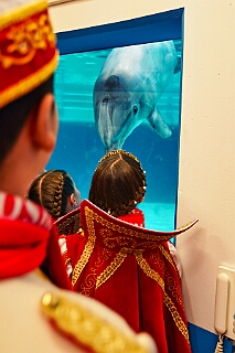 Zoo Duisburg 2026-01-29 22  Im Duisburger ZOO - Der Zoobesuch ist eine schöne Tradition für die amtierenden Tollität der Stadt, schließlich ziert ja auch ein Tier unseren Orden. Diesmal  besuchten wir Kamel, Koala, Delphin und Co. : DVPJ, Holger II, Kinderprinz Phil II., Prinzessin, Mia I., Prinzessin Mia I., HDK, Duisburg, Karneval, Helau, Tollität, Event, Session 2024, Session 2025, Hauptausschuss, Gemeinschaft, Hauptausschuss Karneval Duisburg, Duisburg ist echt