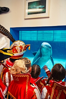 Zoo Duisburg 2026-01-29 23  Im Duisburger ZOO - Der Zoobesuch ist eine schöne Tradition für die amtierenden Tollität der Stadt, schließlich ziert ja auch ein Tier unseren Orden. Diesmal  besuchten wir Kamel, Koala, Delphin und Co. : DVPJ, Holger II, Kinderprinz Phil II., Prinzessin, Mia I., Prinzessin Mia I., HDK, Duisburg, Karneval, Helau, Tollität, Event, Session 2024, Session 2025, Hauptausschuss, Gemeinschaft, Hauptausschuss Karneval Duisburg, Duisburg ist echt